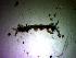  ( - UNMDP-I 021.2)  @11 [ ] Unspecified (default): All Rights Reserved  Unspecified Unspecified