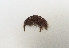  ( - UNMDP-I 026.2)  @11 [ ] Unspecified (default): All Rights Reserved  Unspecified Unspecified