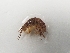  ( - UNMDP-I 027.2)  @11 [ ] Unspecified (default): All Rights Reserved  Unspecified Unspecified
