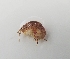  ( - UNMDP-I 031.2)  @11 [ ] Unspecified (default): All Rights Reserved  Unspecified Unspecified