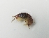  ( - UNMDP-I 032.2)  @11 [ ] Unspecified (default): All Rights Reserved  Unspecified Unspecified