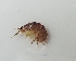  ( - UNMDP-I 033.2)  @11 [ ] Unspecified (default): All Rights Reserved  Unspecified Unspecified