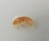  ( - UNMDP-I 034.2)  @11 [ ] Unspecified (default): All Rights Reserved  Unspecified Unspecified