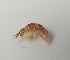  ( - UNMDP-I 035.2)  @11 [ ] Unspecified (default): All Rights Reserved  Unspecified Unspecified