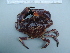  ( - UNMDP-I 253.2)  @11 [ ] Unspecified (default): All Rights Reserved  Unspecified Unspecified