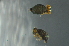  ( - MQI_010)  @11 [ ] Unspecified (default): All Rights Reserved  Unspecified Unspecified