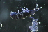  ( - NZBI_003)  @11 [ ] Unspecified (default): All Rights Reserved  Unspecified Unspecified