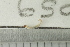  ( - 6509_09-919-235)  @11 [ ] CreativeCommons - Attribution  CBG Photography Group Centre for Biodiversity Genomics