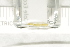  ( - 6640_14-116-19)  @11 [ ] CreativeCommons - Attribution  CBG Photography Group Centre for Biodiversity Genomics