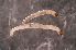  ( - MBC-175)  @11 [ ] No Rights Reserved (2021) Unspecified National Park Service, Central Alaska Network