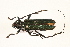  ( - MP00381)  @13 [ ] CreativeCommons - Attribution (2010) Unspecified Centre for Biodiversity Genomics