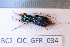  ( - BC2_CIC_GFR_034)  @11 [ ] CC-By (2022) Pierre-Henri Dalens Research collection of Pierre-Henri Dalens