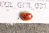  ( - BC2_COL_GFR_031)  @11 [ ] CC-By (2022) Pierre-Henri Dalens Research collection of Pierre-Henri Dalens
