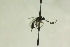  ( - CollHH1009)  @13 [ ] Creative Commons  Attribution Non-Commercial Share-Alike (2018) Hakon Haraldseide Unspecified