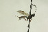  ( - CollHH1011)  @12 [ ] Creative Commons  Attribution Non-Commercial Share-Alike (2018) Hakon Haraldseide Unspecified