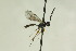  ( - CollHH1033)  @12 [ ] Creative Commons  Attribution Non-Commercial Share-Alike (2018) Hakon Haraldseide Unspecified
