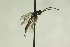  ( - CollHH1035)  @13 [ ] Creative Commons  Attribution Non-Commercial Share-Alike (2018) Hakon Haraldseide Unspecified