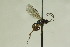  ( - CollHH1039)  @13 [ ] Creative Commons  Attribution Non-Commercial Share-Alike (2018) Hakon Haraldseide Unspecified
