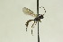  ( - CollHH1040)  @12 [ ] Creative Commons  Attribution Non-Commercial Share-Alike (2018) Hakon Haraldseide Unspecified