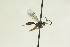  ( - CollHH1041)  @12 [ ] Creative Commons  Attribution Non-Commercial Share-Alike (2018) Hakon Haraldseide Unspecified