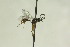  ( - CollHH1042)  @12 [ ] Creative Commons  Attribution Non-Commercial Share-Alike (2018) Hakon Haraldseide Unspecified