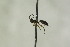  ( - CollHH1057)  @12 [ ] Creative Commons  Attribution Non-Commercial Share-Alike (2018) Hakon Haraldseide Unspecified