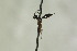  ( - CollHH1058)  @11 [ ] Creative Commons  Attribution Non-Commercial Share-Alike (2018) Hakon Haraldseide Unspecified