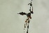  ( - CollHH1067)  @13 [ ] Creative Commons  Attribution Non-Commercial Share-Alike (2018) Hakon Haraldseide Unspecified