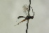  ( - CollHH1077)  @11 [ ] Creative Commons  Attribution Non-Commercial Share-Alike (2018) Hakon Haraldseide Unspecified