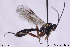  ( - CollHH108)  @13 [ ] CreativeCommons - Attribution Share-Alike (2018) Hakon Haraldseide NTNU University Museum, Department of Natural History