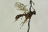  ( - CollHH1081)  @12 [ ] Creative Commons  Attribution Non-Commercial Share-Alike (2018) Hakon Haraldseide Unspecified