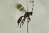  ( - CollHH1082)  @13 [ ] Creative Commons  Attribution Non-Commercial Share-Alike (2018) Hakon Haraldseide Unspecified