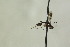  ( - CollHH1085)  @12 [ ] Creative Commons  Attribution Non-Commercial Share-Alike (2018) Hakon Haraldseide Unspecified