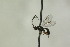  ( - CollHH1086)  @13 [ ] Creative Commons  Attribution Non-Commercial Share-Alike (2018) Hakon Haraldseide Unspecified