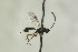  ( - CollHH1087)  @11 [ ] Creative Commons  Attribution Non-Commercial Share-Alike (2018) Hakon Haraldseide Unspecified