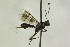  ( - CollHH1092)  @12 [ ] Creative Commons  Attribution Non-Commercial Share-Alike (2018) Hakon Haraldseide Unspecified