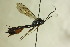  ( - CollHH1123)  @13 [ ] Creative Commons  Attribution Non-Commercial Share-Alike (2018) Hakon Haraldseide Unspecified