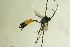  ( - CollHH1151)  @11 [ ] Creative Commons  Attribution Non-Commercial Share-Alike (2018) Hakon Haraldseide Unspecified
