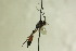  ( - CollHH1160)  @13 [ ] Creative Commons  Attribution Non-Commercial Share-Alike (2018) Hakon Haraldseide Unspecified
