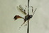  ( - CollHH1167)  @13 [ ] Creative Commons  Attribution Non-Commercial Share-Alike (2018) Hakon Haraldseide Unspecified