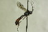  ( - CollHH1168)  @13 [ ] Creative Commons  Attribution Non-Commercial Share-Alike (2018) Hakon Haraldseide Unspecified