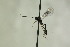  ( - CollHH1192)  @12 [ ] Creative Commons  Attribution Non-Commercial Share-Alike (2018) Hakon Haraldseide Unspecified