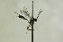  ( - CollHH1193)  @12 [ ] Creative Commons  Attribution Non-Commercial Share-Alike (2018) Hakon Haraldseide Unspecified