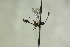  ( - CollHH1194)  @12 [ ] Creative Commons  Attribution Non-Commercial Share-Alike (2018) Hakon Haraldseide Unspecified