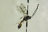  ( - CollHH1200)  @13 [ ] Creative Commons  Attribution Non-Commercial Share-Alike (2018) Hakon Haraldseide Unspecified