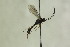  ( - CollHH1201)  @13 [ ] Creative Commons  Attribution Non-Commercial Share-Alike (2018) Hakon Haraldseide Unspecified