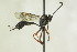  ( - CollHH1206)  @13 [ ] Creative Commons  Attribution Non-Commercial Share-Alike (2018) Hakon Haraldseide Unspecified