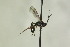  ( - CollHH1226)  @13 [ ] Creative Commons  Attribution Non-Commercial Share-Alike (2018) Hakon Haraldseide Unspecified