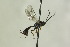  ( - CollHH1227)  @13 [ ] Creative Commons  Attribution Non-Commercial Share-Alike (2018) Hakon Haraldseide Unspecified