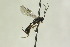  ( - CollHH1228)  @11 [ ] Creative Commons  Attribution Non-Commercial Share-Alike (2018) Hakon Haraldseide Unspecified